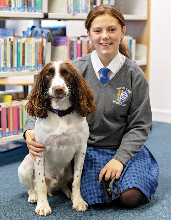 The benefits of a school dog with a student