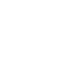 Paint Brush Icon